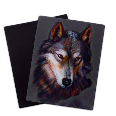 China Wolf uil wilde dieren 3D magneten lenticulaire 3D koelkast magneet voor toeristen Te koop