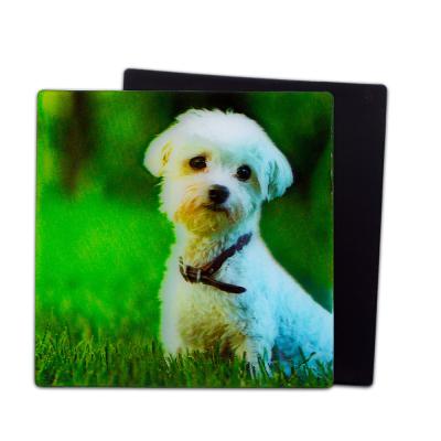 China Lovely Puppies 3D Magnets Lenticular 3D Fridge Magnet For Souvenir Gift for sale