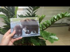 Brown Bear In Alaska Lenticular Card Souvenir Gift Card For Tourist 3d Postcards