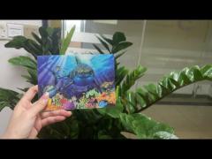 Lenticular Postcard Printing Toucan Wild Animals 3D Postcard for zoo pack sealifes