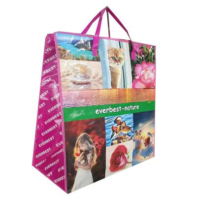 China Eco Friendly Laminated Woven Bags With Zipper Closure And Woven Handle for sale