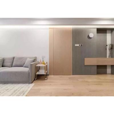 China Sound Insulation Door Frame Frameless Concealed Sliding Concealed Door Hinges Concealed Concealed Frameless Door for sale