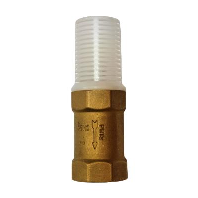 China General Brass Spring Swing Non Return Vertical Check Valve for sale