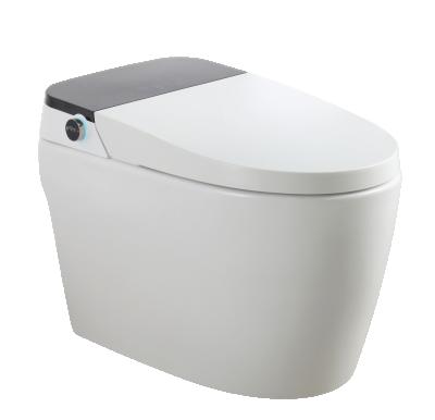 China 2021 Automatic Operation Smart Automatic Toilet Ceramic WC Bathroom Use Smart Toilets With Bidet MDS-069 for sale