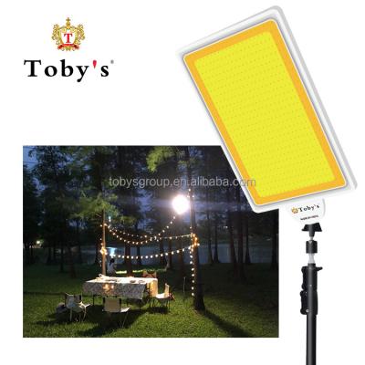 China LANDSCAPE Toby's manufacture outdoor smart outdoor camping 2 color light   LED  light VIP-01 YW 12V to 60W 220V for sale