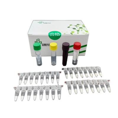 China High Detection Sensitivity Infectious Feline Mycoplasma Rapid Animal Disease Kit For Blood Sample Testing for sale