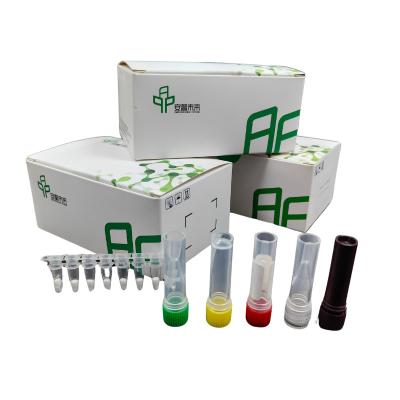 China 5-20 Mins Diagnostic Kit For Blood Sample Within Animal Feline Leukemia Disease Kit for sale