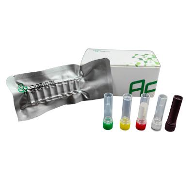 China Blood Sample Type Animal Disease Kit For Feline Parvovirus Animal Health for sale