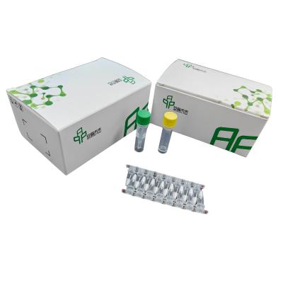 Κίνα 14 μήνες ισχύος DNA Isothermal Nucleic Acid Amplification Kit NFO προς πώληση