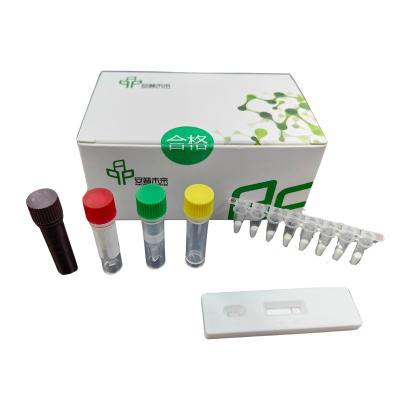 China Feline Herpesvirus Isothermal Detection NFO Animal Disease Kit for sale