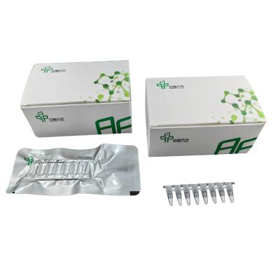 Κίνα Υψηλής απόδοσης PCR Isothermal Amplification Kit Ταχεία και ακριβή αποτελέσματα προς πώληση