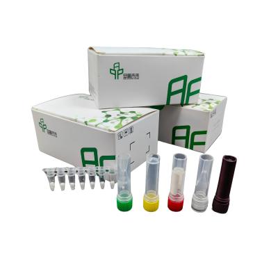 China Pigeon Circovirus Livestock Disease Kit For Efficient Diagnosis for sale