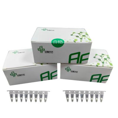 China 14 meses Almacenamiento Kit de amplificación de PCR isotérmica de alta sensibilidad en venta