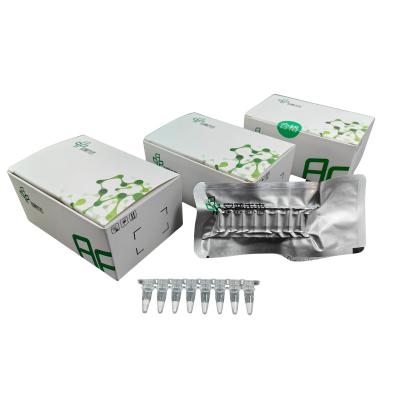 China Temperatura ambiente Kit de PCR isotérmico Temperatura constante Congelación Reactivos secos en venta