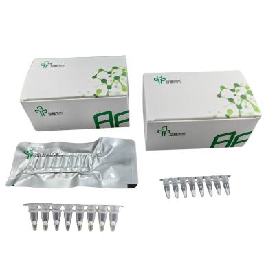 Κίνα Υψηλής απόδοσης DNA Isothermal PCR Amplification Kit για ακριβή αποτελέσματα PCR προς πώληση