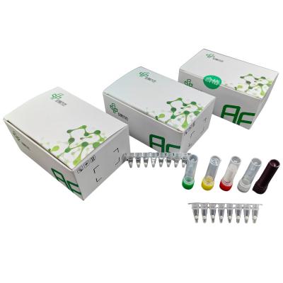 China Diagnosis Nucleic Acid Detection White Spot Syndrome Virus Livestock Disease Kit for sale