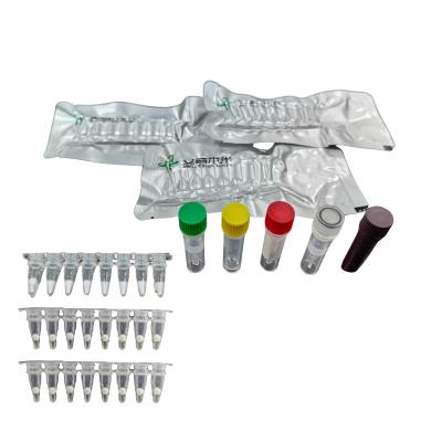 China Influenza A Virus Constant Temperature Pathogen Detection Kit Fluorescence for sale