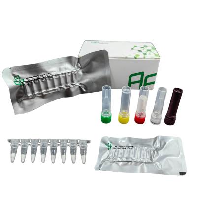 China Room Temperature Mycobacterium Tuberculosis PCR Kit for sale