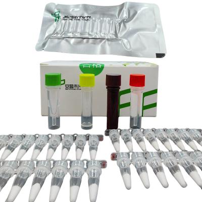 China 14 Months Validity EXO Pseudomonas Aeruginosa Pathogen Detection Kit for sale