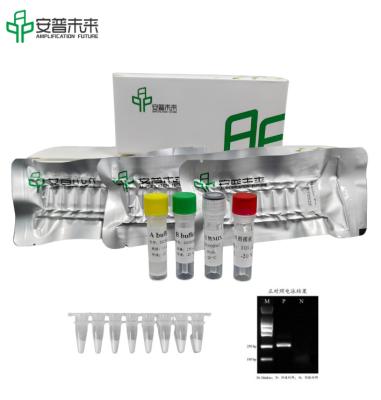 China DNA Isothermal Rapid Amplification Kit Basic for sale