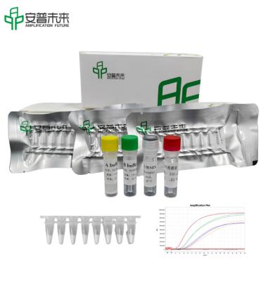 China DNA Isothermal Rapid Amplification Kit Fluorescent Type for sale