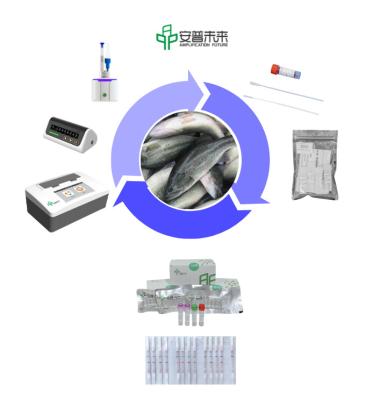 중국 효소 기반의 고 민감성 RNA 증폭 키트 판매용