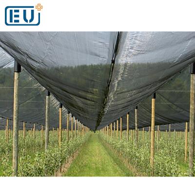 China HDPE with Stablizer UV Hail Protection Netting Bird Trap Plastic Wire Mesh Tree Guards Net/Big Price Plastic Agriculture Hail Guard Mesh with UV for sale