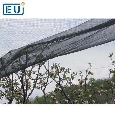 China HDPE With UV Stablizer Supply High Quality Grape Hail Protection Netting Various Resist Hail To Mesh Anti Hail Woven Netting for sale