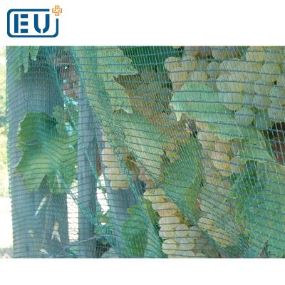 China HDPE with Stablizer 25 x 100 Miter 10 Set Cheap Black Vineyard Bird Yarn Netting 28 x 28 Mesh Roll Lowes Bunnings Wholesalers Anti UV Manufacturers for sale