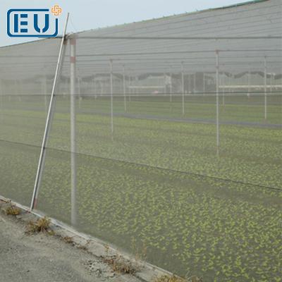 China HDPE With UV Garden Window Stablizer Anti Insect Barrier Cloth Mesh Netting Bag Supplier In Malaysia Bunnings UK for sale