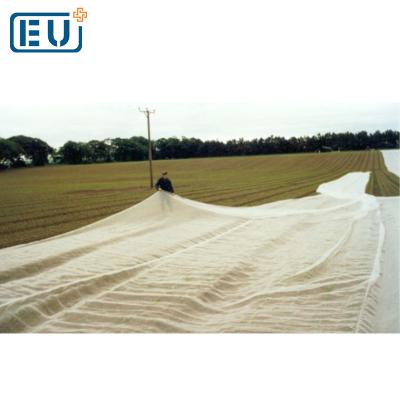 China HDPE with Stablizer Lowes Winter Vegetable Garden Antifreeze Plant Guard Cover Netting Cloth UV Cloth Roll Cover for Growing Plants for sale