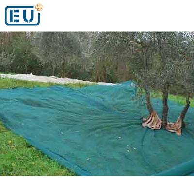 China HDPE With Different Types UV HDPE Agriculture Fruit Tree Harvest Olive Stablizer Netting for sale