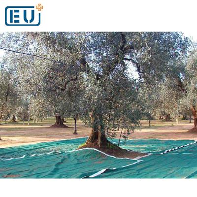 China HDPE With UV Treated High Quality Dark Green Olive Stablizer Harvest Net for sale