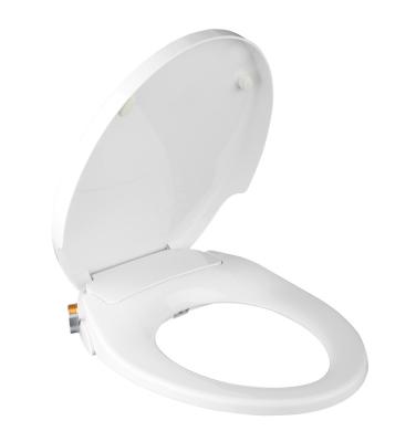 China Slow-end Toilet Seats Soft Close White PP Toilet Oval Material Self Cleaning Double Spouts With Bidet Function for sale