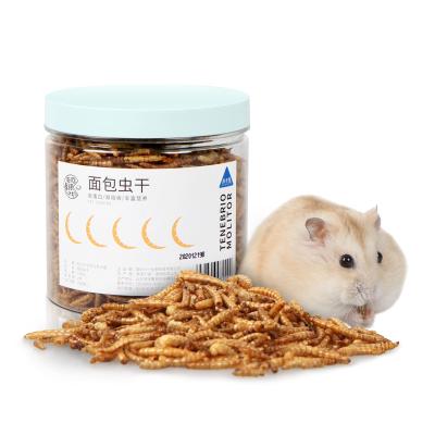 China Breadworm Tenebrio Molitor New Pet Snacks Ornamental Hamster Food Fish Stocked Dry Nutrition Hamster Food Freeze Dried for sale