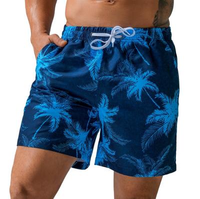 China Plus Size Custom Mens Board Shorts Surf Brand Board Shorts Mens Swim Trunks Beachwear Designr Printed Swimwear for sale