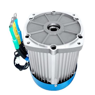 China Wholesale Fast Shipping Good E Material Durable Cargo Bicycle BLDC Motor 3000W Drip Proof for sale