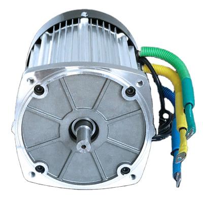 China High Efficiency 3 Wheeler 4 Wheeler Powerful BLDC Drip Proof Durable Motor for sale