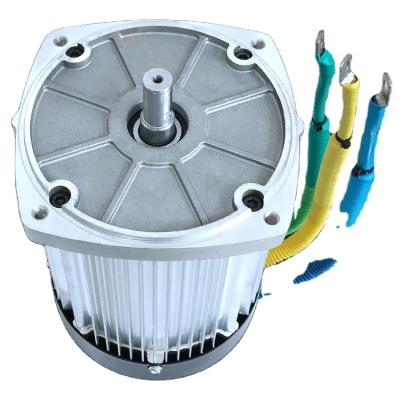 China drip proof high quality electric vehicles brushless dc motor for sale