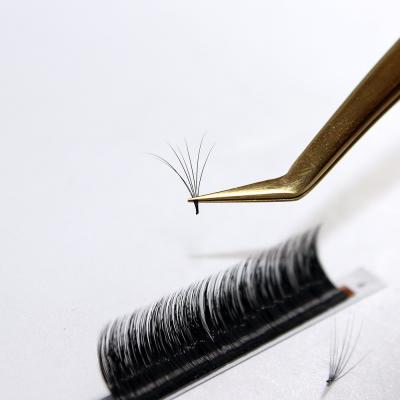 China Full Volume Eyelash Extensions Supplies D Loop Eyelash Extensions Easy Fanning Korean Private Label for sale