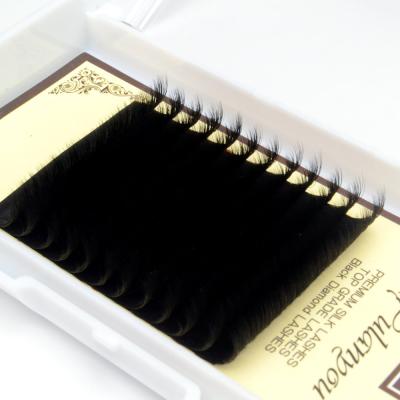 China Las Extensions Supplies Trays Full Volume Whips Lashextensions Matte Black Easy Fanning Blooming Lashes for sale