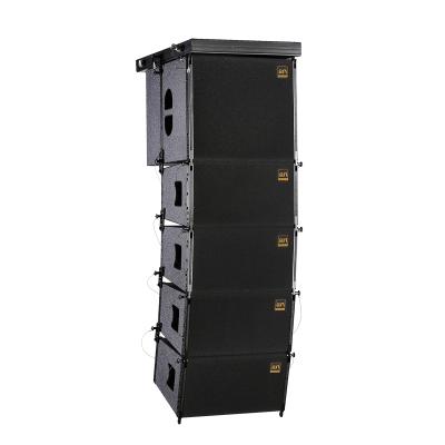 China Hall Pro Multifunctional Professional Audio 350W Sound System 10 Inch Single Array Line (VR10) Speaker for sale