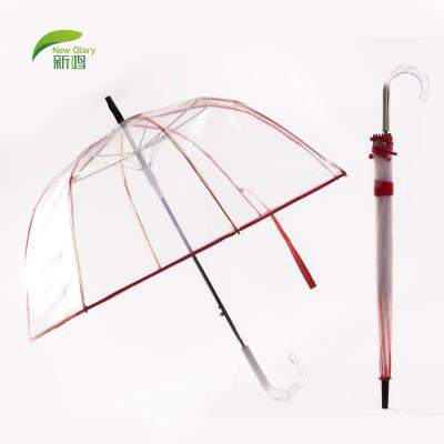 China New Bubble Umbrella Traditional Clear Dome Auto Umbrella Transparent Car Tent Umbrella for sale