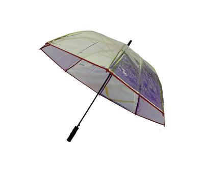 China Minimalist Colored Transparent Upright POE Umbrella With Ergonomically Designed Comfortable Handle for sale