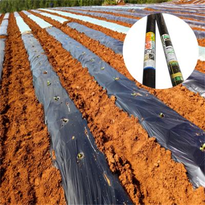 China Weed Prevention Breeding Agricultural Professional Perforated Anti-ultraviolet Black Plastic Mulching Film for sale