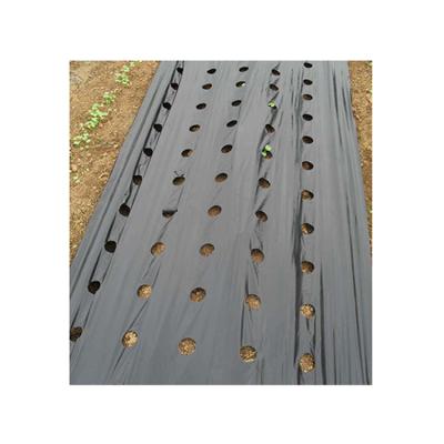 China Prevent Weed Mulch High Quality Agricultural Plastic Agricultural Silver Black Film for sale