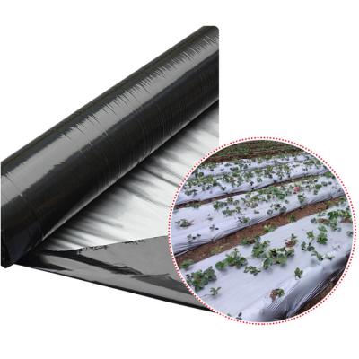 China Agricultural Cover Film Silver&Black Agriculture Polyethylene Mulch Plastic Mulching Film for sale