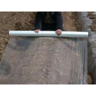 China Garden/Plant cover agricultural plastic compostable plastic mulch film white transparent agriculture film for sale