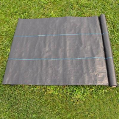 China Weed Prevention Growing Plastic Woven PP Ground Cover Weed Barrier Agricultural Fabric for sale