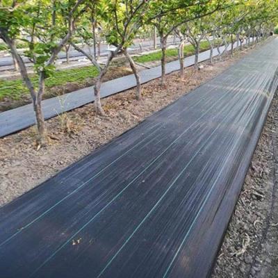 China High Denstity Plastic Weed Mat Black Ground Cover Weedmat Landscape Weaving Fabric for sale